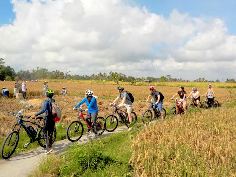 Ubud Electric Bicycle Tour by eBikes Bali